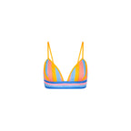 Bralette Crop Top