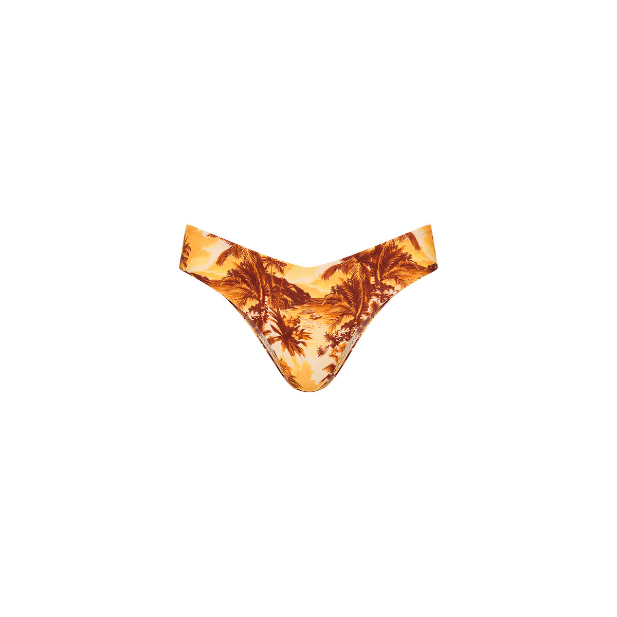 Cheeky V Bikini Bottom