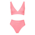 Suzy Q High Rise Classic Bikini Bottom
